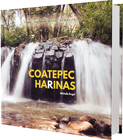 Coatepec Harinas